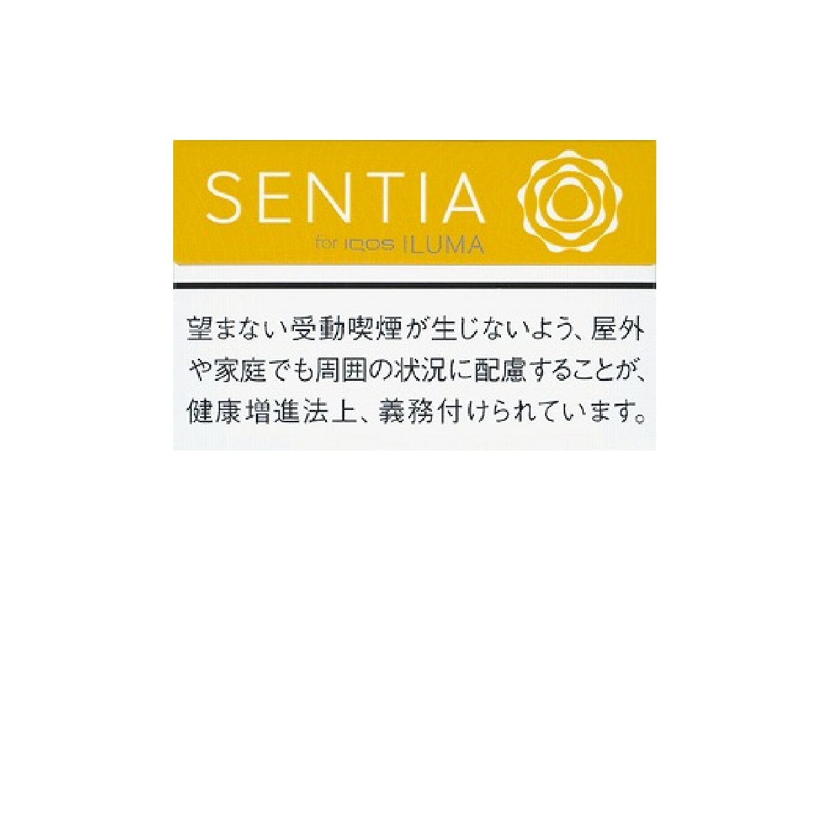 センティア・バランスド・イエロー　Ｅ