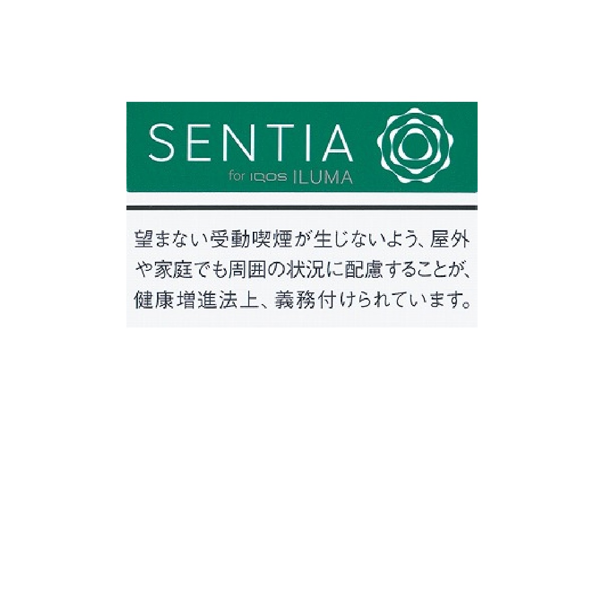 センティア・フロスト・グリーン　Ｅ