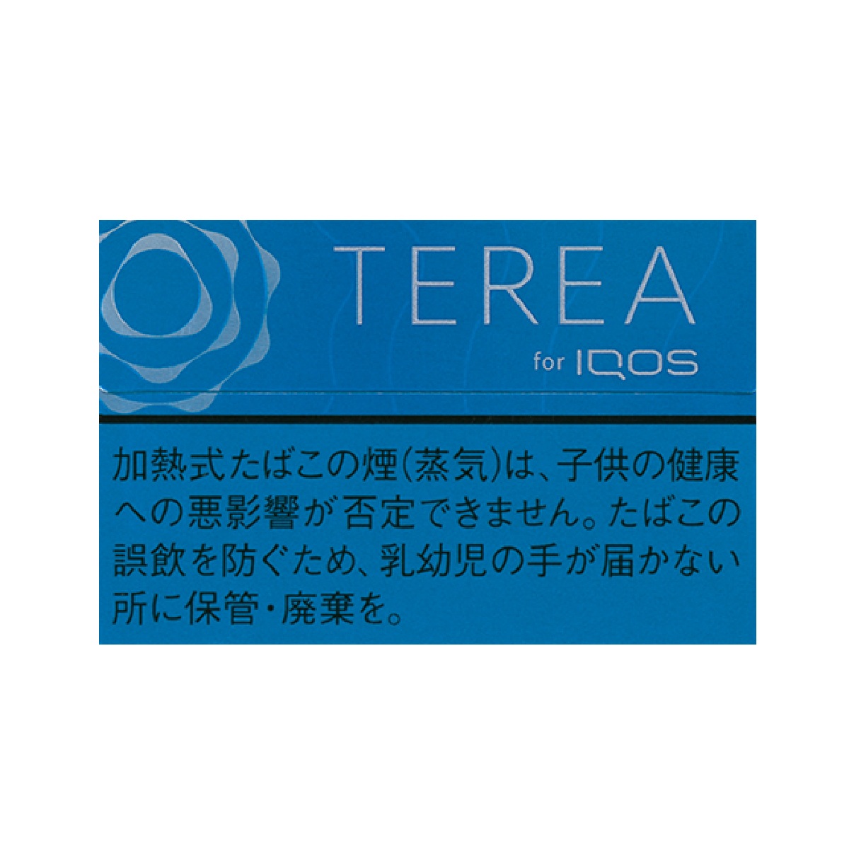 テリア・レギュラー　Ｅ